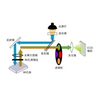 什么是熒光定量PCR、數字PCR？