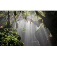 光的干涉、衍射、折射、反射、散射